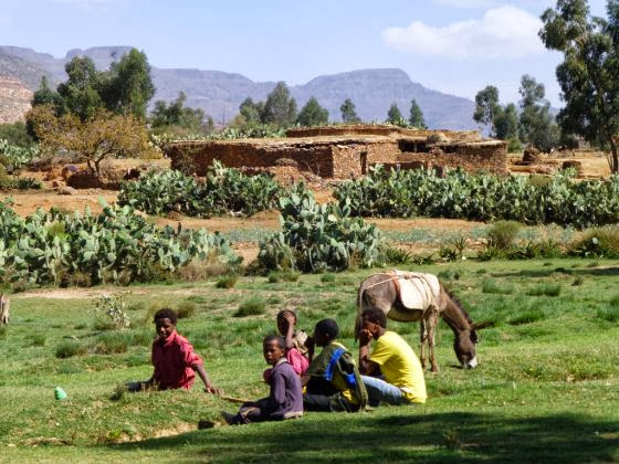 kids&hedemo tigray