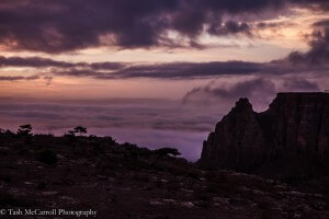 Curtesy of Tash McCarroll, Low cloud around Erar, on a Tesfa Trek