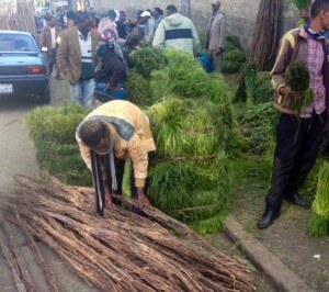 New Year grass and sticks