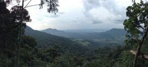 Vista across the forest in Bench Maji