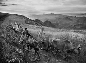 Photo from ​Genesis​ by Sebastião Salgado