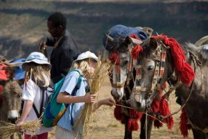 Kids enjoy riding (& feeding) horses on the trek