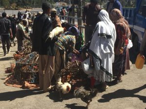 Chickens for sale on street corners