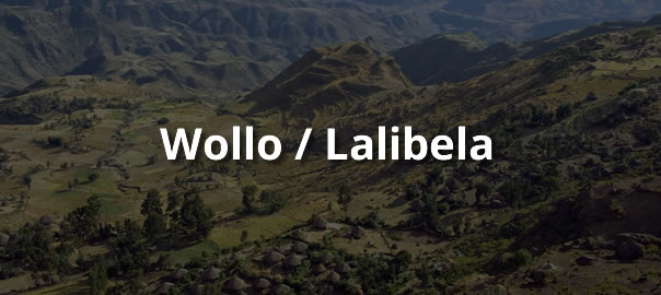 Landscape Meket community trek near Lalibela