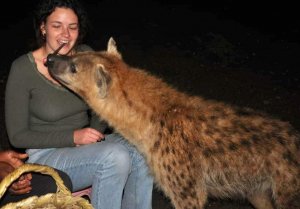 Feeding Hyenas in Harar